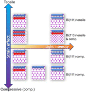 Graphical abstract: Tunable light-induced topological edge states in strain engineering of bismuthene monolayers