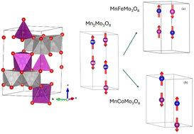 Graphical abstract: Investigation of the magnetic spin correlations in the layered molybdenates, Mn2Mo3O8 and MnAMo3O8 (A = Fe, Co, Zn)