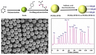 Graphical abstract: Two-step seed swelling polymerization to prepare poly(glycidyl methacrylate-divinylbenzene) microspheres and their sulfonation for chromatographic separation of rare earth elements