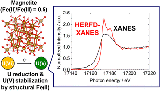 Graphical abstract: High stabilization of pentavalent uranium on magnetite nanoparticles evidenced by high-energy-resolution X-ray absorption spectroscopy