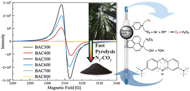 Graphical abstract: Permanent free radicals in bamboo biochar-based flow bed reactor: a sustainable solution for dye degradation via adsorption and radical oxidation