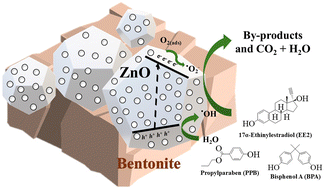 Graphical abstract: A bentonite/ZIF-8 derived ZnO photocatalyst for the effective elimination of a mixture of endocrine disruptors under simulated solar light: estrogenicity mitigation