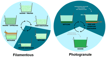 Graphical abstract: Operating high-rate algal ponds as sequencing batch reactors: a novel approach to enhanced wastewater treatment