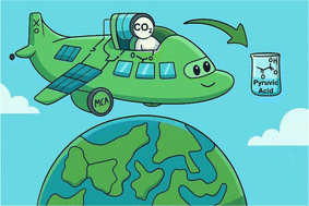 Graphical abstract: Biomimicry of CO2 transfer through a biotin-mediated ATP-free pathway