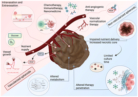 Graphical abstract: Engineering perfusion to meet tumor biology: are vascularized tumor-on-a-chip models ready to drive therapy innovation?