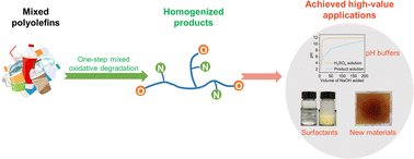 Graphical abstract: Highly adaptable oxidative upcycling of polyolefins to multifunctional chemicals containing oxygen and nitrogen