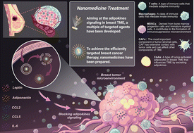 Graphical abstract: Targeting obesity and adipokine signaling in the breast cancer microenvironment for enhanced tumor therapy