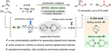 Graphical abstract: Modular assembly of amines and diborons with photocatalysis enabled halogen atom transfer of organohalides for C(sp3)–C(sp3) bond formation