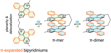 Graphical abstract: π-Expansion as gateway to viologen-based pimers