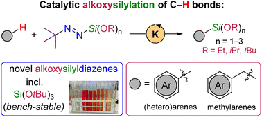 Graphical abstract: Catalytic alkoxysilylation of C–H bonds with tert-butyl-substituted alkoxysilyldiazenes