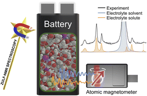 Graphical abstract: Enabling nondestructive observation of electrolyte composition in batteries with ultralow-field nuclear magnetic resonance