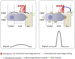 Graphical abstract: Harnessing non-equilibrium hot electrons in a quantum-engineered ternary heterostructure for sub-ppb C9 biomarker detection