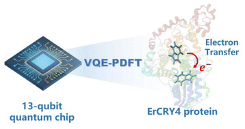 Graphical abstract: Quantum-classical hybrid computation of electron transfer in a cryptochrome protein via VQE-PDFT and multiscale modeling