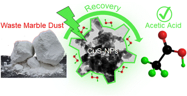 Graphical abstract: Photocatalytic upcycling of marble waste into acetic acid by copper sulfide nanoparticles