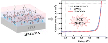 Graphical abstract: A multifunctional strategy to improve the efficiency and stability of organic solar cells via a 2PACz/MA composite hole transport layer