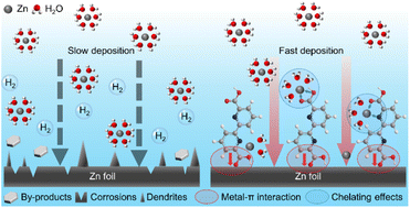 Graphical abstract: Multi-dentate organic additives for simultaneous Zn2+ capturing and interfacial engineering toward stable aqueous zinc metal batteries