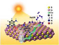 Graphical abstract: Photocatalytic hydrazine-assisted reduction of nitroarenes promoted by Cu dopant modulated In2S3 under ambient conditions