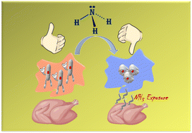 Graphical abstract: Chromogenic ecdysis of Au@Ag nanorods assembled in a hydrogel for selective detection of ammonia vapors in food