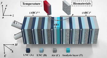 Graphical abstract: Design of a nonlinear metastructure for temperature detection and biosensing based on the second harmonic generation in theory