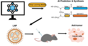 Graphical abstract: Prediction of high-performing spleen-targeted lipid nanoparticles using a deep learning model for robust anticancer immunotherapy