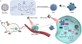 Graphical abstract: Cascade enzymatic semiconducting polymer nanocomposites for NIR-II light-mediated photothermal-chemodynamic combinatorial therapy