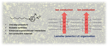 Graphical abstract: Halogen-bonded ionic liquid crystals: supramolecular organization and ionic transport