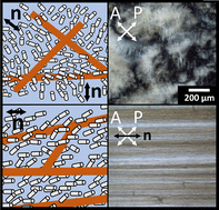 Graphical abstract: Magnetic-field alignment of micellar lyotropic nematic gels and their memory-effect