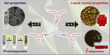 Graphical abstract: The role of flexible amide spacers in the self-assembly of star-shaped triphenylbenzenes with photoactive triphenylamine units: stimuli-responsive liquid crystals and gels