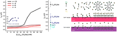 Graphical abstract: The effect of critical micelle concentration on the amphiphilic species response using P3HT-based organic electrochemical transistors