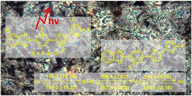 Graphical abstract: Fluorination in core-only calamitic liquid crystals: how many and where should they go?