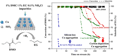 Graphical abstract: Insights into the influence of various impurities on the stability of a Cu/SiO2 catalyst for the hydrogenation of dimethyl oxalate to ethylene glycol
