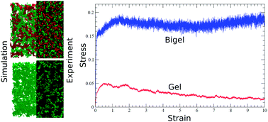Graphical abstract: Aggregation dynamics, structure, and mechanical properties of bigels