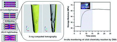Graphical abstract: Real time monitoring of click chemistry self-healing in polymer composites