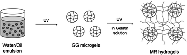 Graphical abstract: Gellan gum microgel-reinforced cell-laden gelatin hydrogels