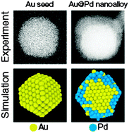 Graphical abstract: Gold–palladium core@shell nanoalloys: experiments and simulations