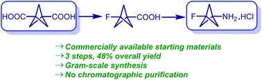 Graphical abstract: Radical fluorination powered expedient synthesis of 3-fluorobicyclo[1.1.1]pentan-1-amine