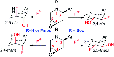 Graphical abstract: Conformation-induced regioselective and divergent opening of epoxides by fluoride: facile access to hydroxylated fluoro-piperidines