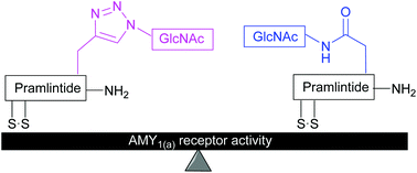 Graphical abstract: Synthesis and amylin receptor activity of glycomimetics of pramlintide using click chemistry