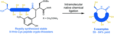 Graphical abstract: Efficient synthesis of cysteine-rich cyclic peptides through intramolecular native chemical ligation of N-Hnb-Cys peptide crypto-thioesters