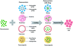 Graphical abstract: Recent trends in nano-based drug delivery systems for efficient delivery of phytochemicals in chemotherapy