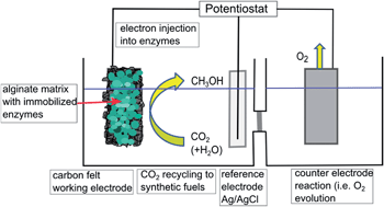 Graphical abstract: Carbon dioxide conversion to synthetic fuels using biocatalytic electrodes