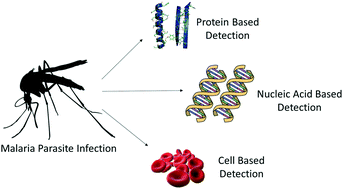 Graphical abstract: Towards lab-on-a-chip diagnostics for malaria elimination