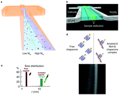 Graphical abstract: Microfluidic approaches for probing amyloid assembly and behaviour