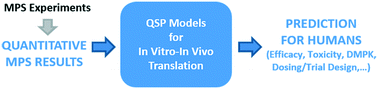 Graphical abstract: Maximizing the impact of microphysiological systems with in vitro–in vivo translation