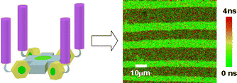 Graphical abstract: Self-organization of a sulfonamido-porphyrin in Langmuir monolayers and Langmuir–Blodgett films