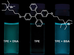 Graphical abstract: Fluorescent “light-up” bioprobes based on tetraphenylethylene derivatives with aggregation-induced emission characteristics