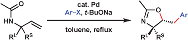 Graphical abstract: Palladium-catalysed arylative cyclisation of N-allylacetamides with aryl halides yielding benzyl-substituted oxazolines