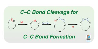 Graphical abstract: Metal-catalysed cleavage of carbon–carbon bonds