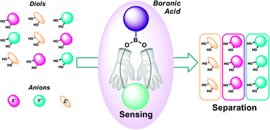 Graphical abstract: Boronic acid building blocks: tools for sensing and separation
