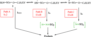 Graphical abstract: Mechanisms of hydrolysis of phenyl- and benzyl 4-nitrophenyl-sulfamate esters